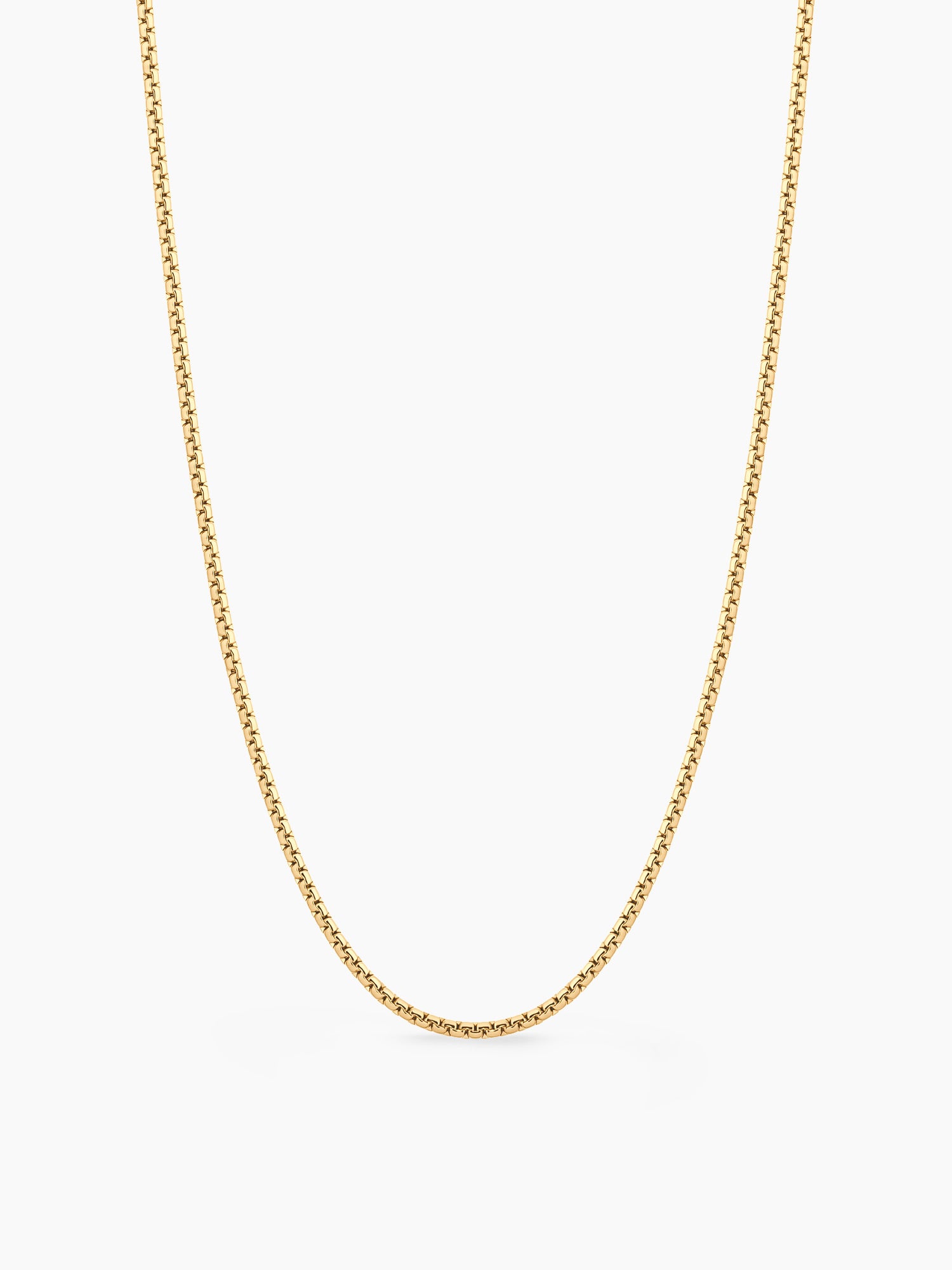Fine V Chain Necklace in Gold