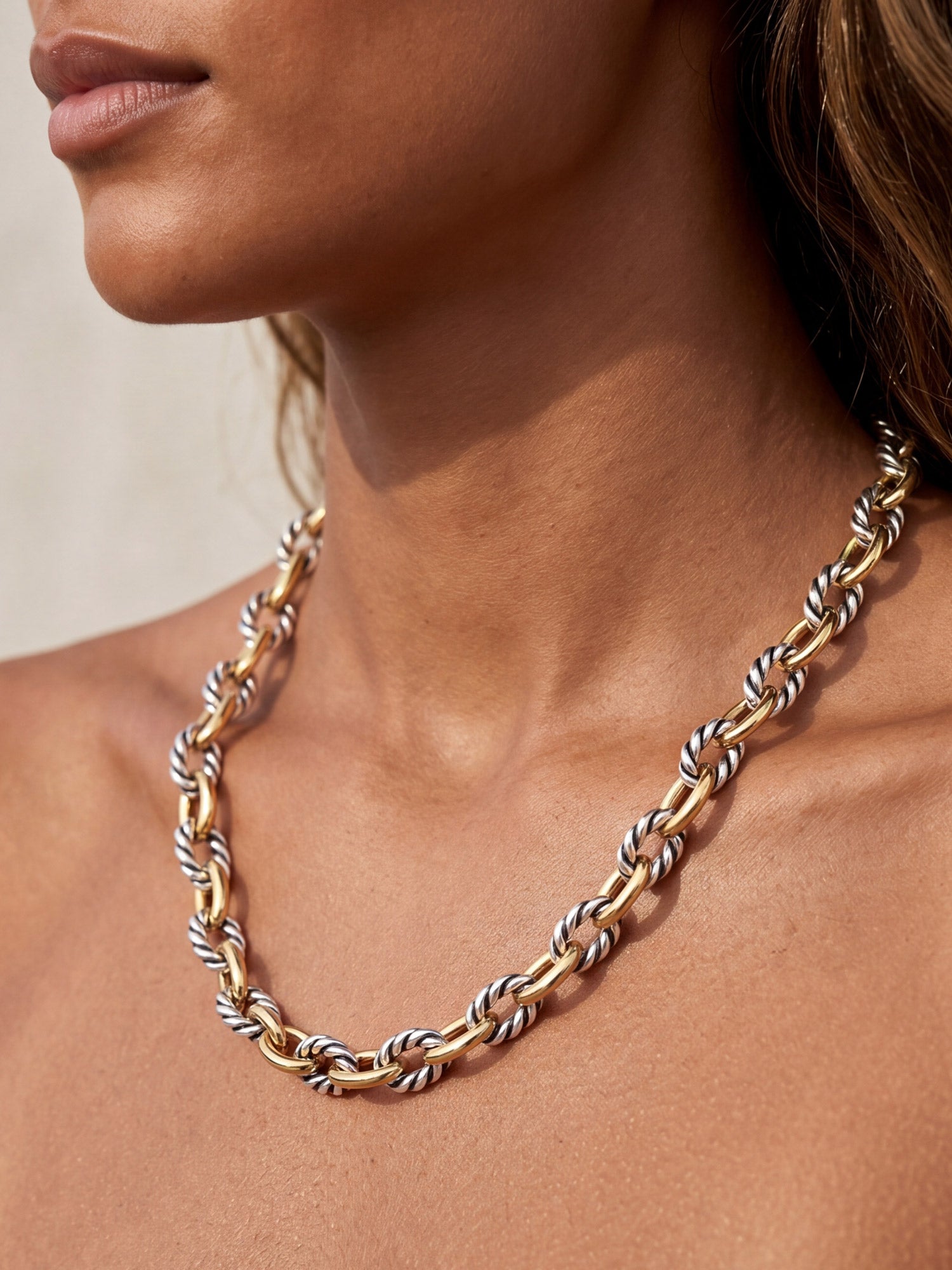 Twisted Antique Two-Tone Chain Necklace